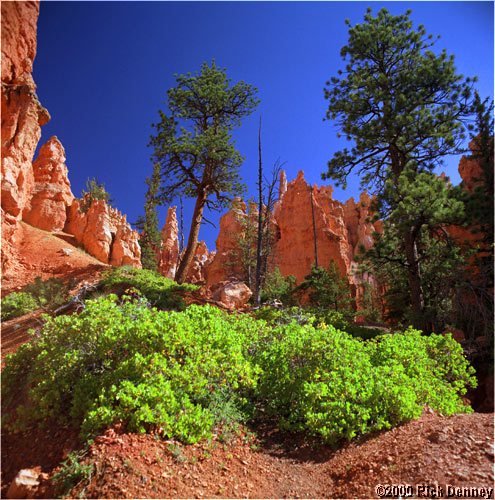 morningcolorsnavaholooptrailbrycecanyonnputah2001.jpg