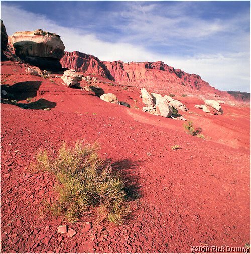 lateafternoononredrockscapitolreefnputah2001.jpg