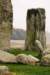 standingstonesstonehenge2008_small.jpg