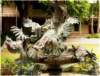 birdfountainsouthwestcraftscenterformerlytheursulineacademyfounded1851_small.jpg