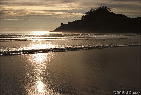 beach1pacificcityoregon2003.jpg