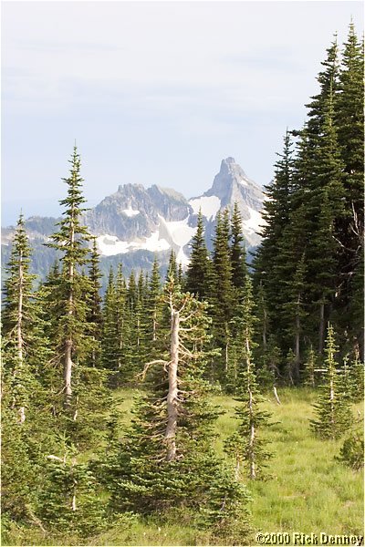 cowlitzchimneysmountrainiernp2003.jpg