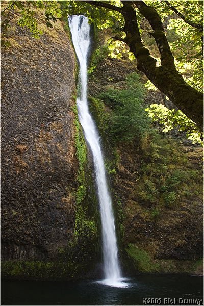 fallscolumbiarivergorge2003.jpg