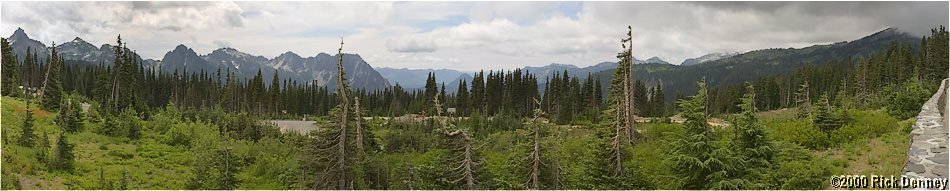 nisquallyvalleyfrommountrainier2003.jpg