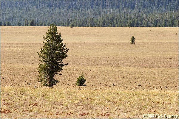 northdesertcraterlakenp2003.jpg