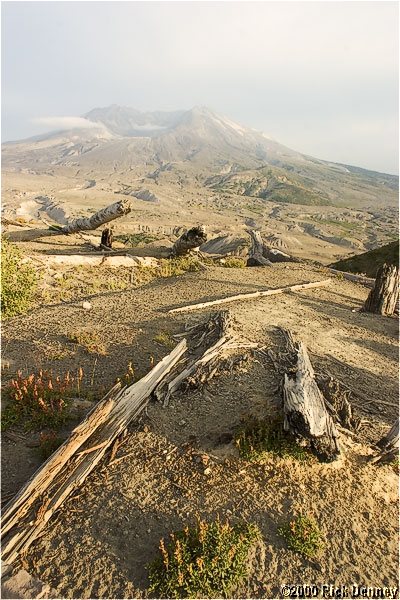 IMAGE: http://www.rickdenney.com/images/st-helens-coldwater-ridge-l.jpg