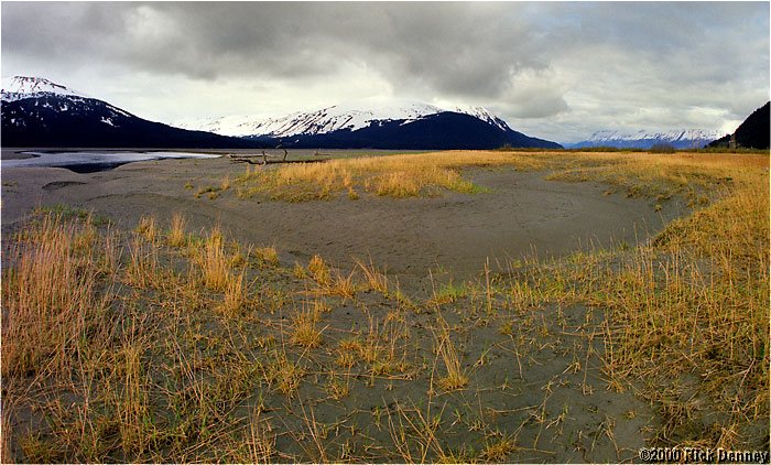 IMAGE: http://www.rickdenney.com/images/tidal-flat-4x8-lores.jpg